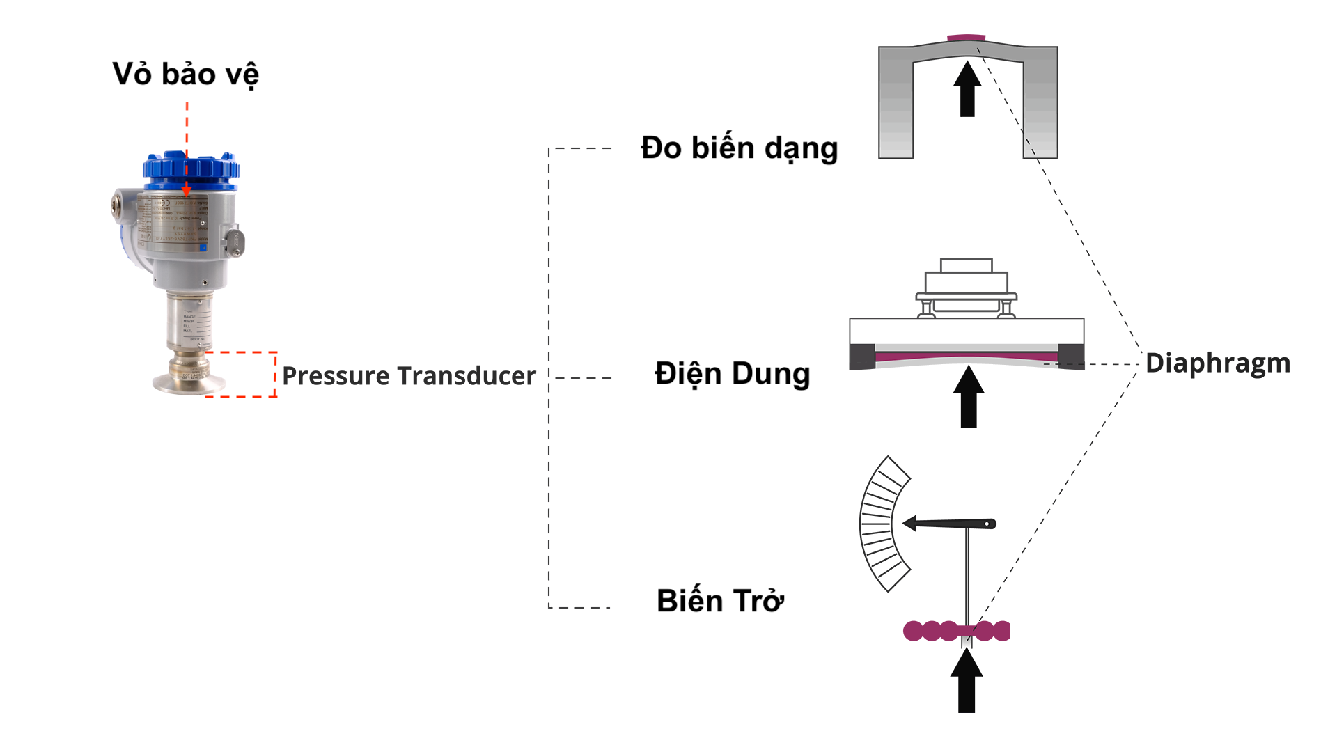 Cấu tạo cảm biến áp suất