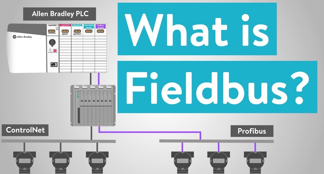 Fieldbus là gì?
