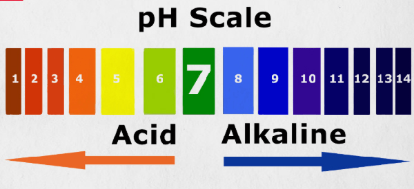 pH của axit và bazơ