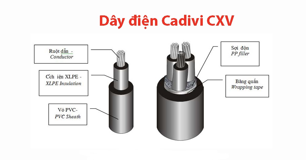 Cấu trúc cơ bản của CXV.  dây cáp điện