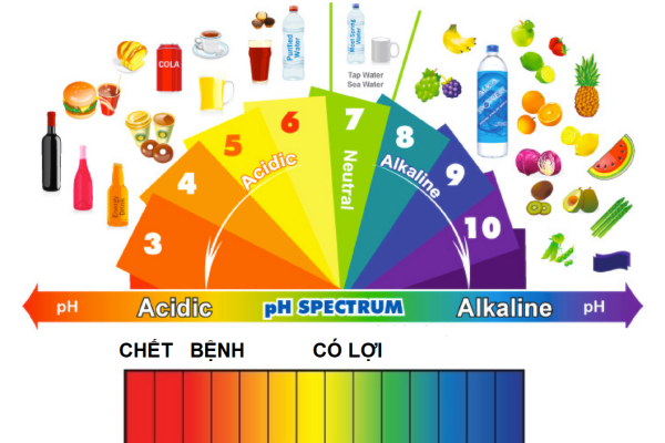 Máy đo pH là gì? Các loại máy đo pH phổ biến nhất hiện nay