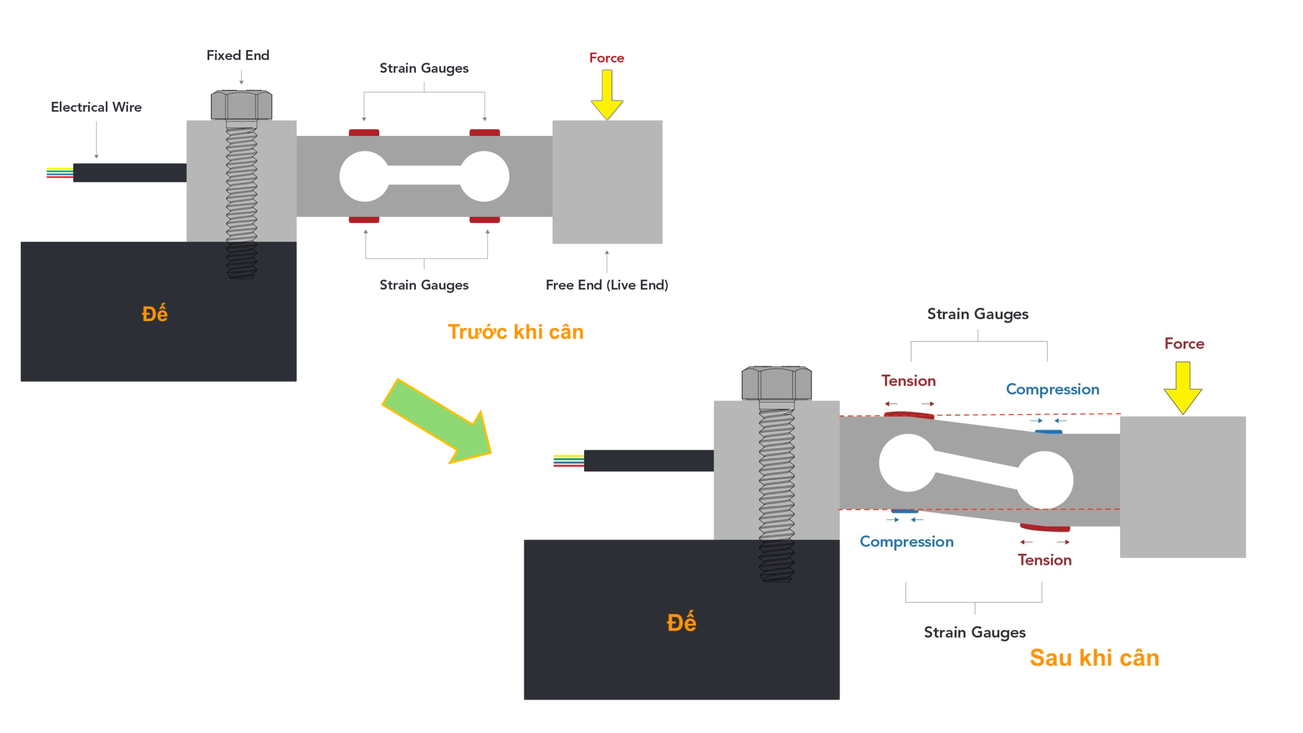 Cấu tạo loadcell