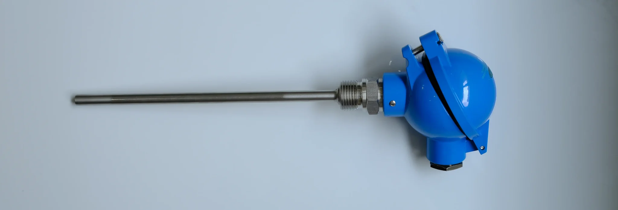 Cảm biến nhiệt độ Pt100 2 dây
